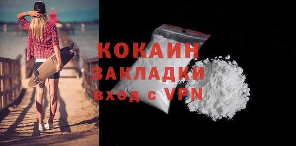 ешки Новодвинск