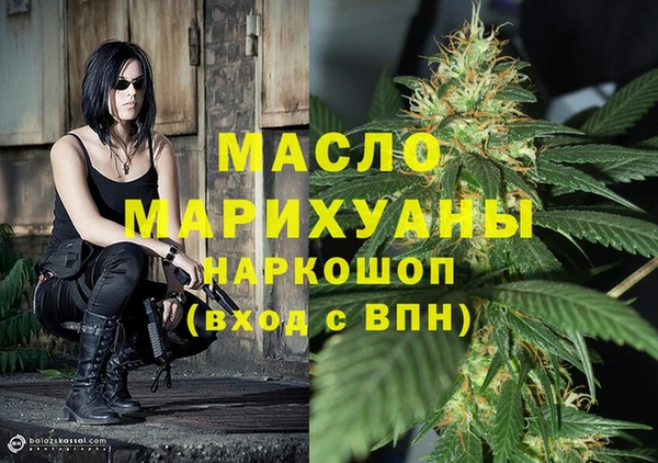ешки Новодвинск