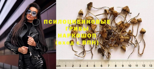 каннабис Новозыбков