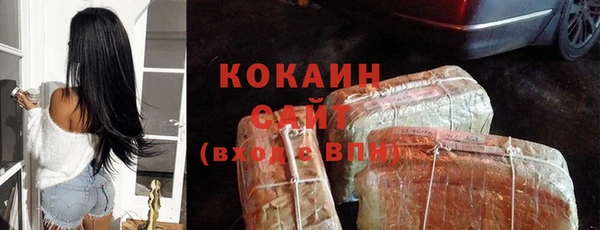 ешки Новодвинск