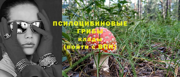 ешки Новодвинск